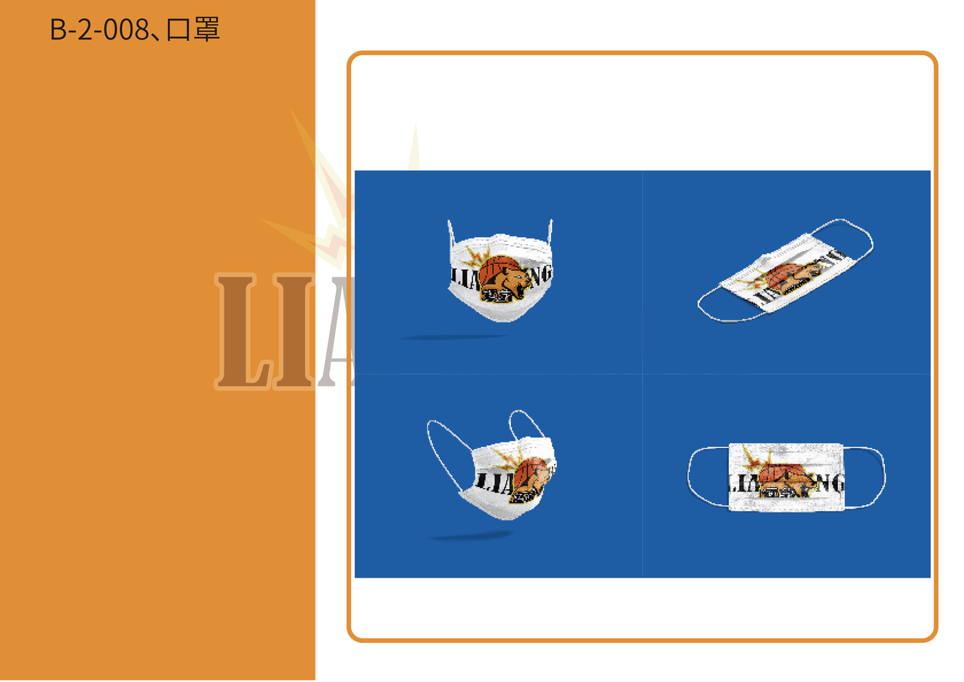 辽宁飞豹队视觉形象设计图16