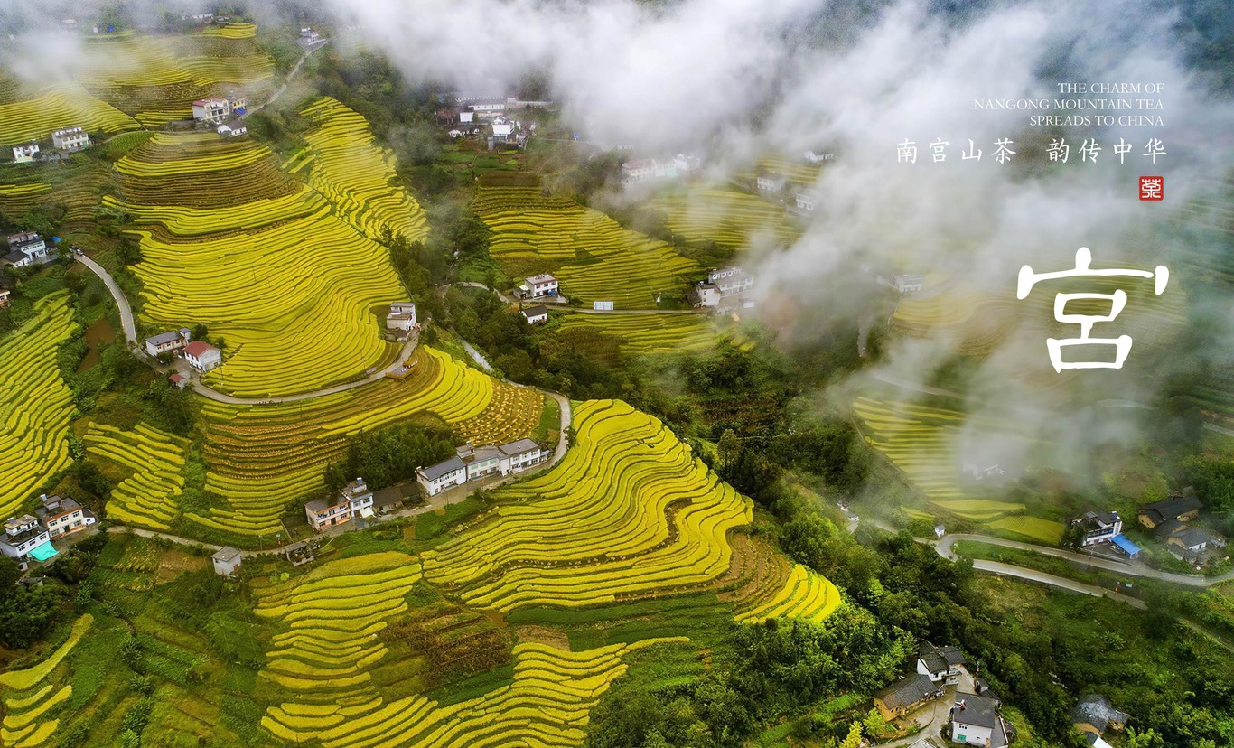 南宫山茶品牌标志设计图1