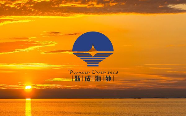 深圳市躍成海外+DBox蔡｜原創(chuàng)LOGO設(shè)計(jì)