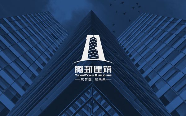 深圳市腾封建筑+DBox蔡｜原创LOGO设计