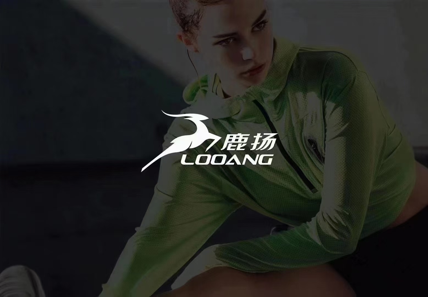 鹿扬服装品牌LOGO设计图1