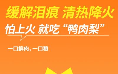 寵物詳情頁設(shè)計