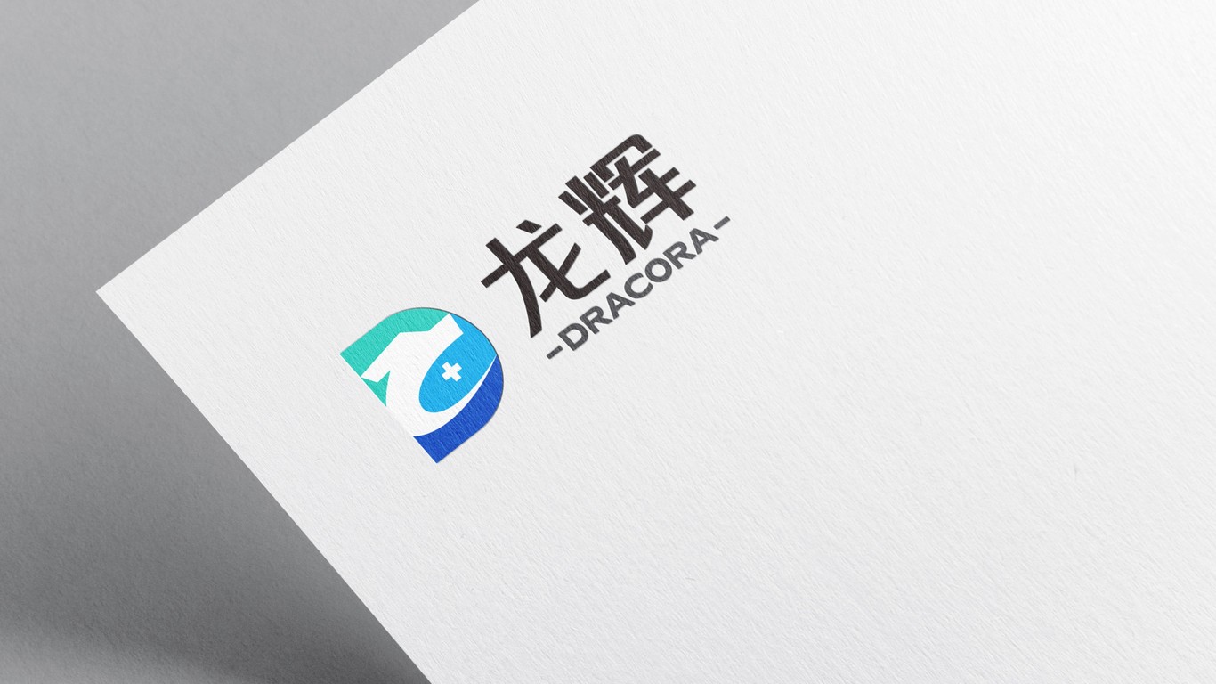 龙辉集团logo设计图8