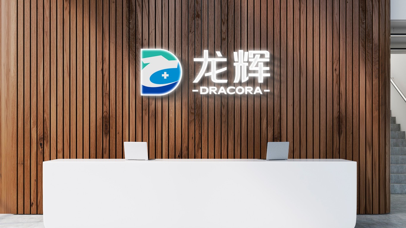 龙辉集团logo设计图6