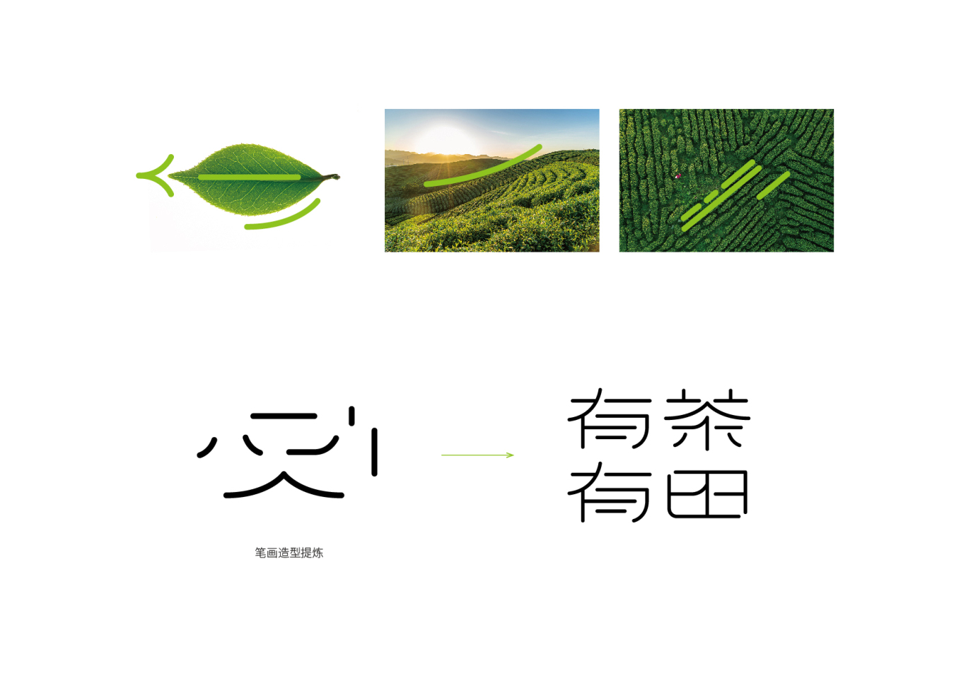 有茶有田logo設計圖9
