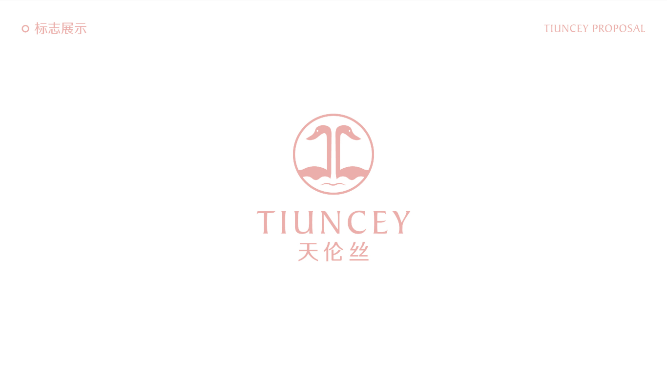 天倫絲TIUNCEY美妝護膚品牌設計VI設計圖2