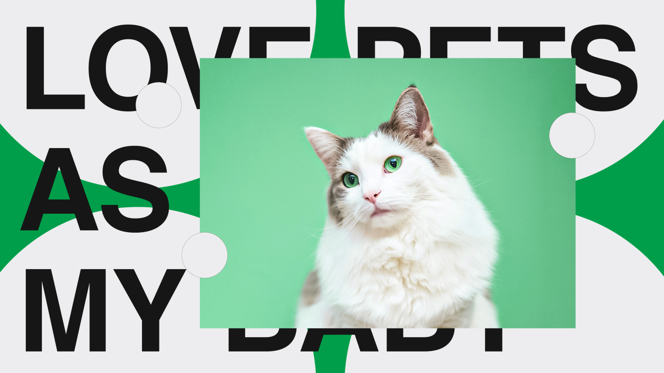 Mbiby寵物用品系列品牌包裝形象設計（貓糧&貓砂&罐頭&貓條&零食凍干）圖4