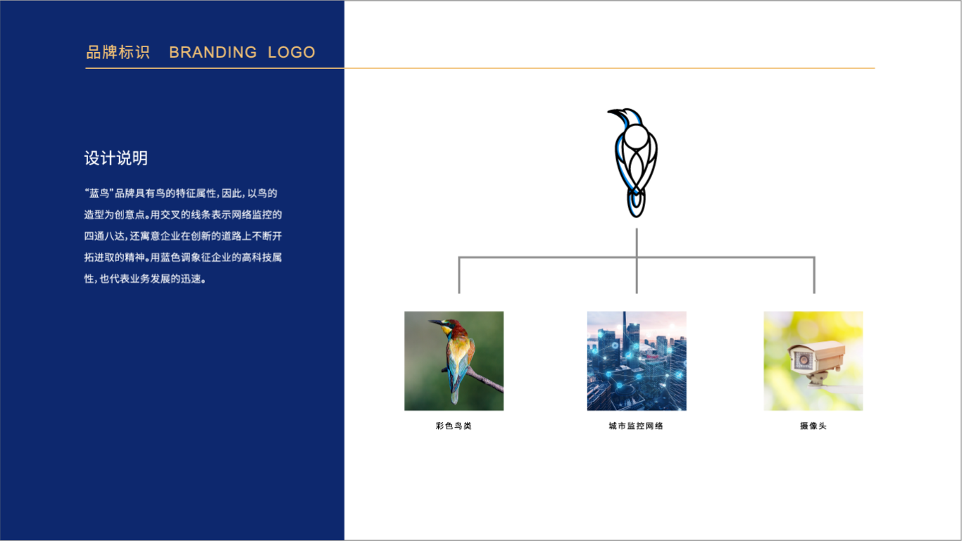 蓝鸟安全设备公司LOGO设计图2