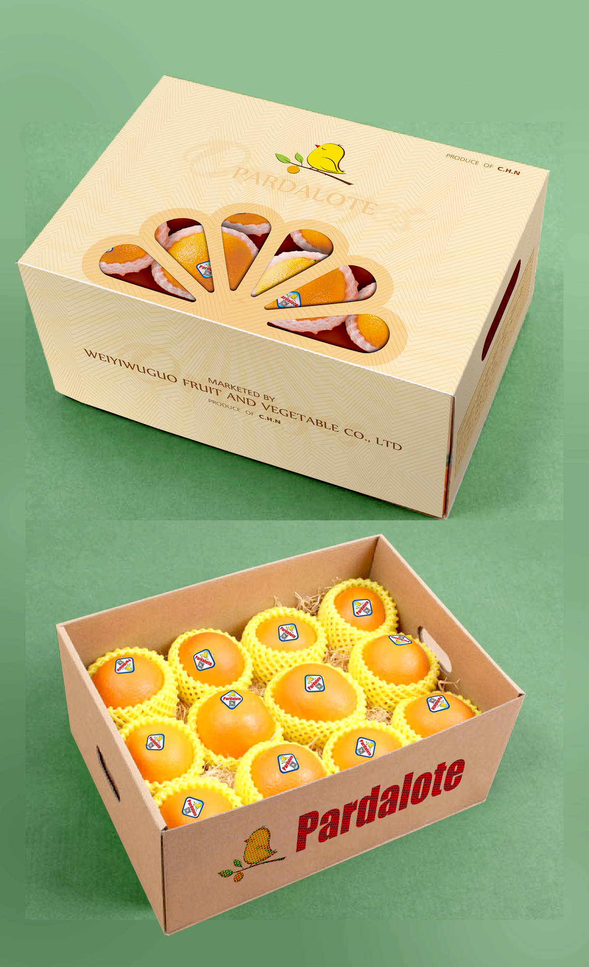 橙子包裝設計圖2