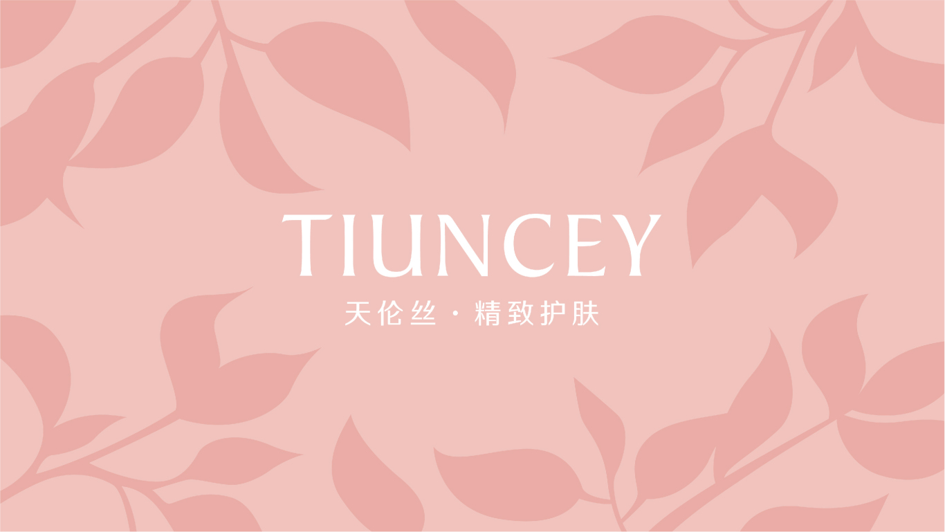 天伦丝TIUNCEY美妆护肤品牌设计VI设计图10