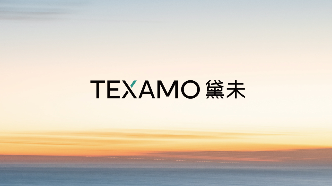 Texamo 品牌设计图0