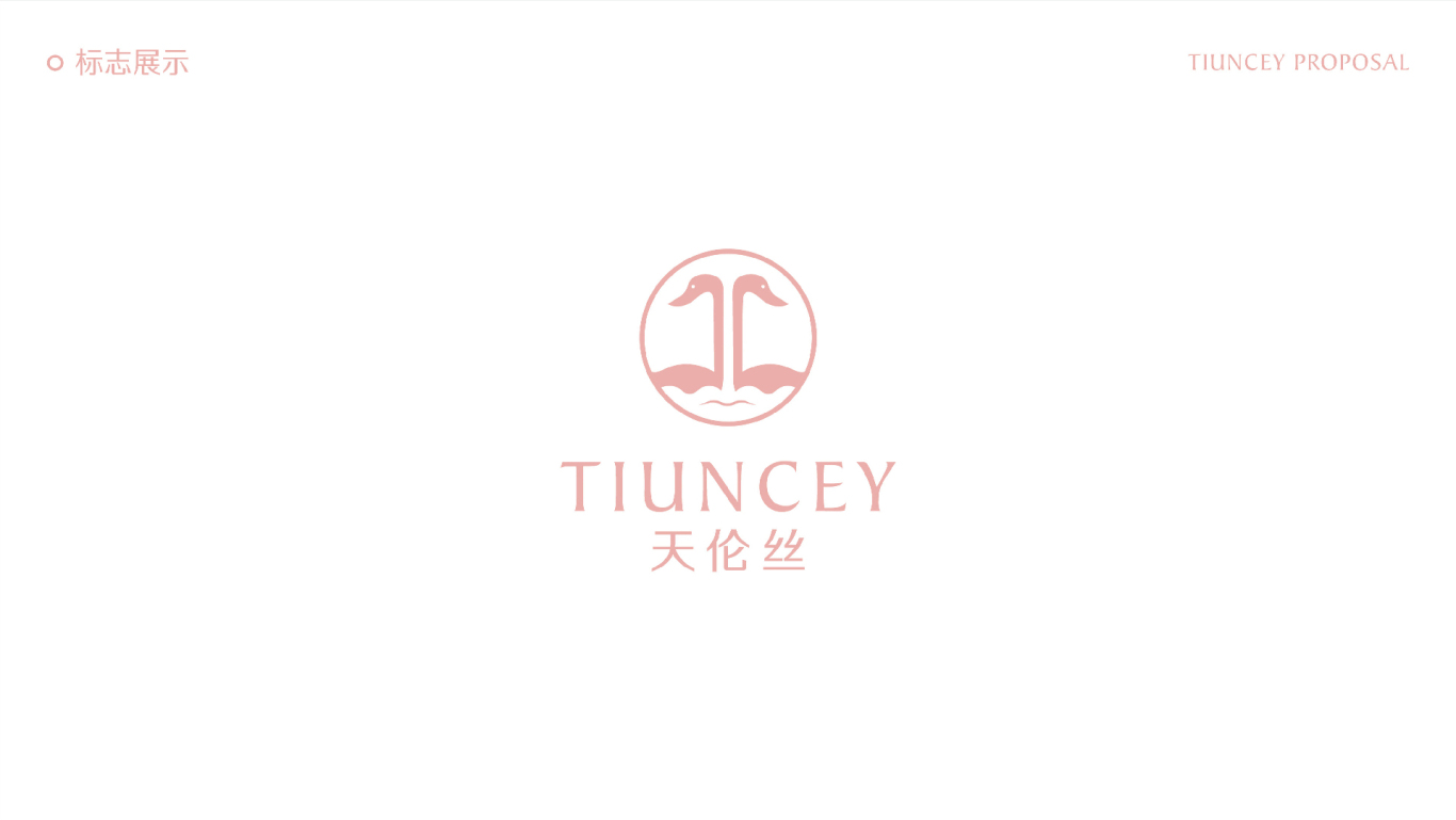 天伦丝TIUNCEY美妆护肤品牌设计VI设计图2